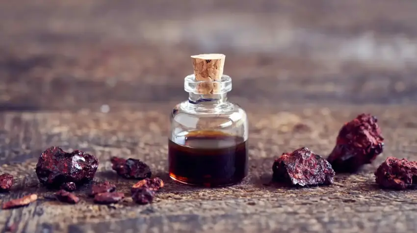 Dračí krev - Sangre de Drago