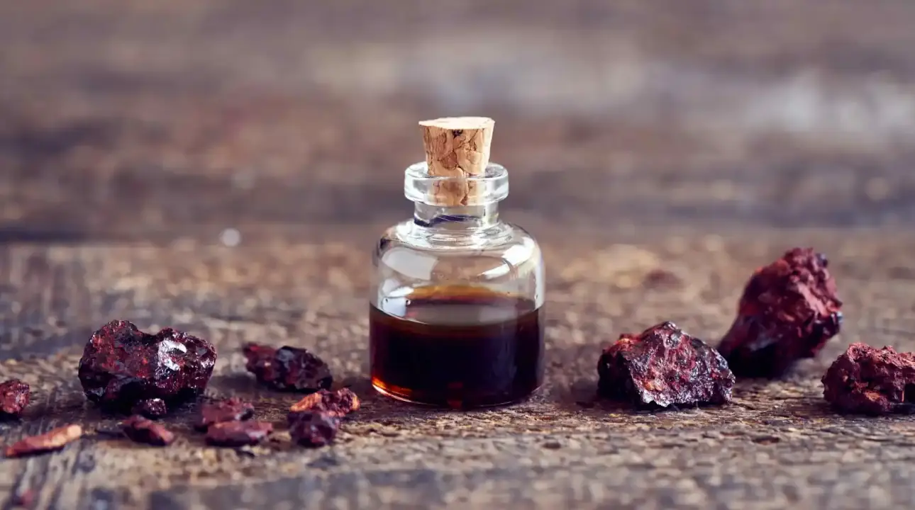 Dračí krev - Sangre de Drago